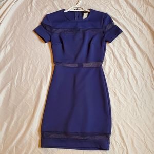 Mesh panel bodycon dress